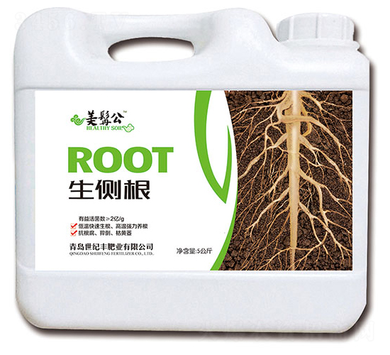 生側(cè)根-美髯公-世紀(jì)豐