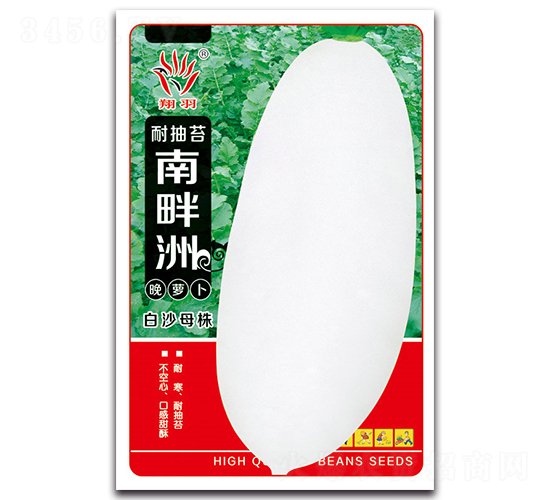 耐抽苔南畔洲晚蘿卜-蘿卜種子-京密種業(yè)