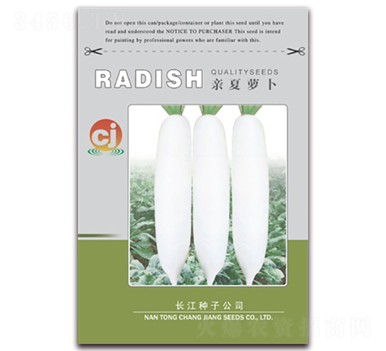 親夏蘿卜-蘿卜種子-長江種子