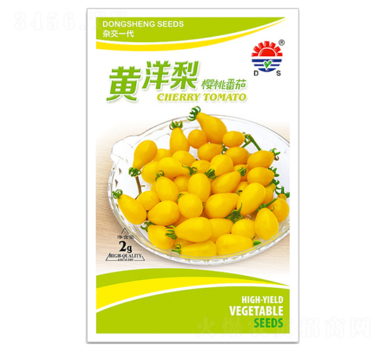 東升黃洋梨-番茄種子-東升種業(yè)