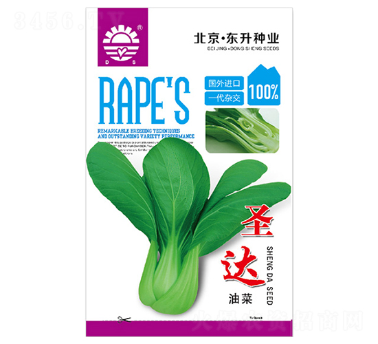東升圣達油菜-油菜種子-東升種業(yè)