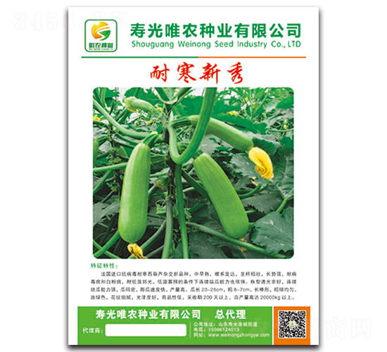 耐寒新秀F1-西葫蘆種子-唯農(nóng)種業(yè)