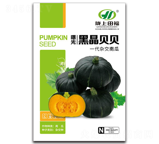 曙光黑晶貝貝-南瓜種子-田福農(nóng)業(yè)