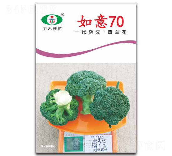 如意70-西蘭花種子-力禾農(nóng)業(yè)