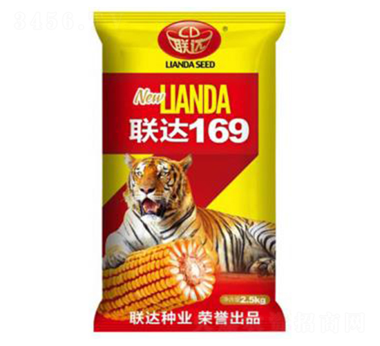 聯(lián)達169-玉米種子-聯(lián)達種業(yè)