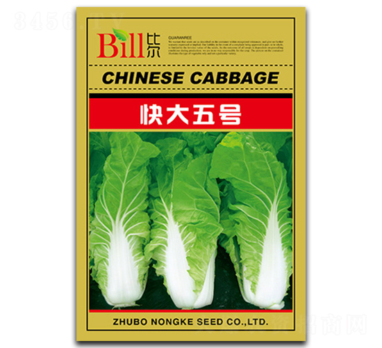 快大五號(hào)-快菜種子-比爾