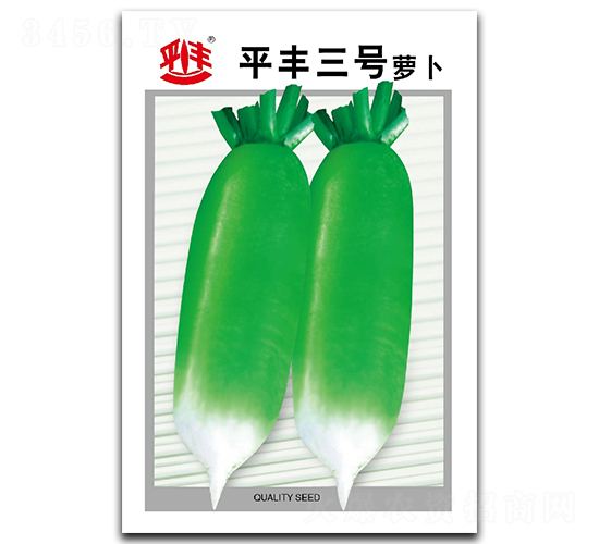 平豐三號(hào)-蘿卜種子-平豐種業(yè)
