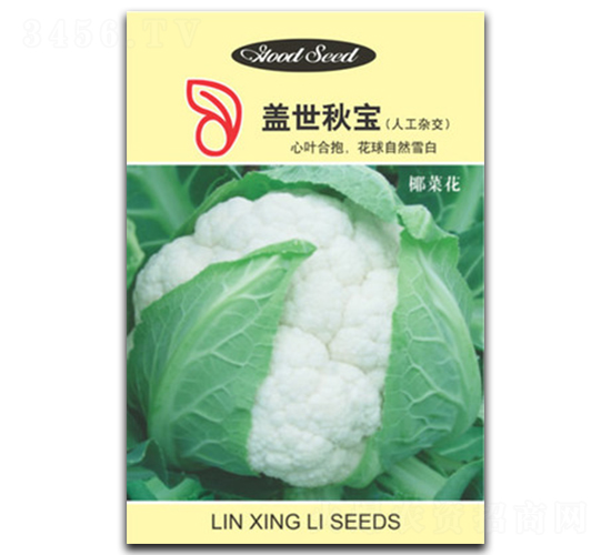 蓋世秋寶-花椰菜種子-林興利