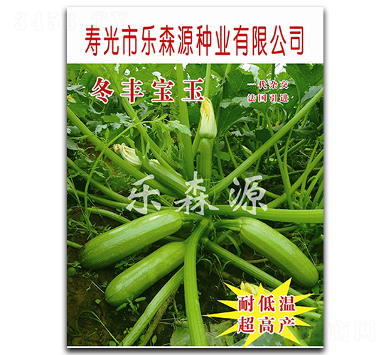 冬豐寶玉-西葫蘆種子-樂(lè)森源