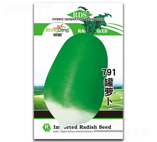 榮鼎791罐蘿卜-蘿卜種子-先風(fēng)
