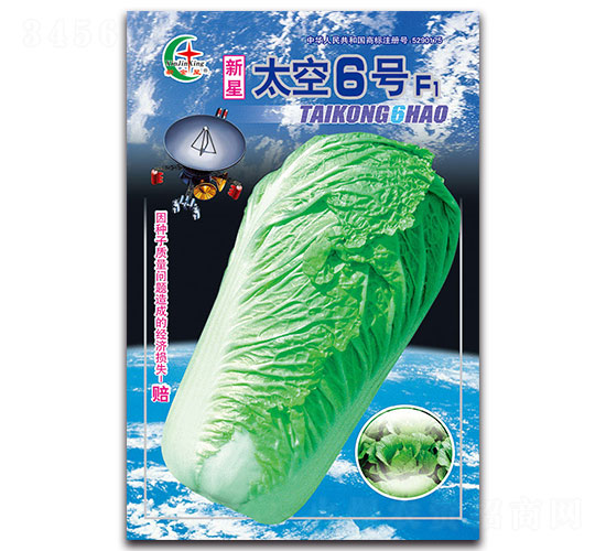 太空6號F1-白菜種子-先風