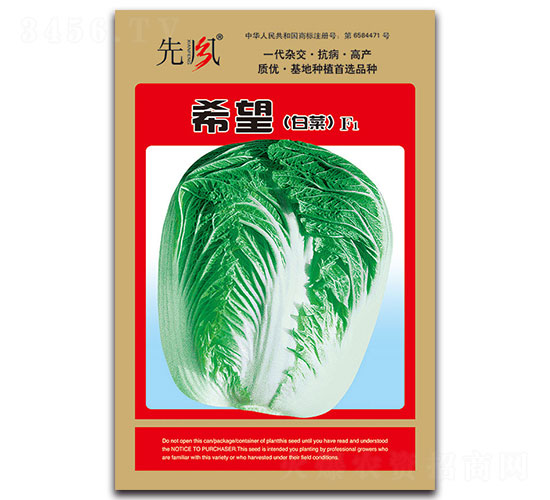 希望（白菜）F1-白菜種子-先風(fēng)
