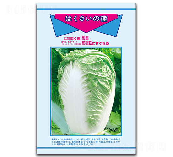 夏陽(yáng)早50-白菜種子-先風(fēng)