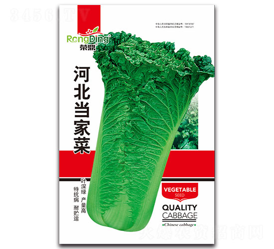 河北當(dāng)家菜-白菜種子-先風(fēng)