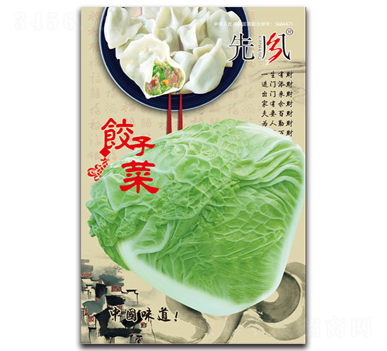 餃子菜-白菜種子-先風(fēng)