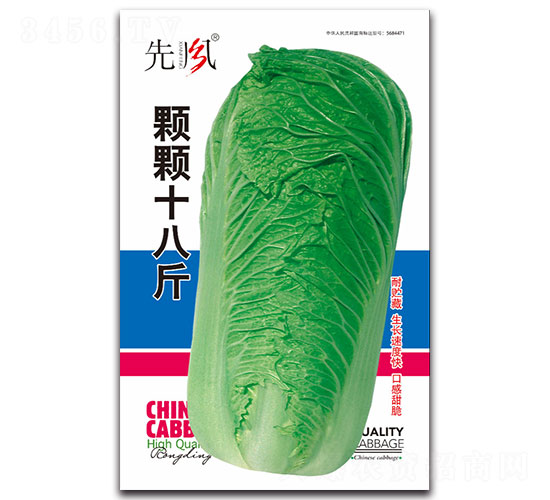 顆顆十八斤-白菜種子-先風(fēng)