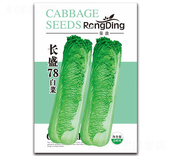長盛78白菜-白菜種子-先風