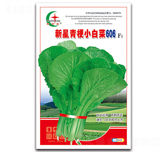 新星青梗小白菜606F1-小白菜種子-先風(fēng)