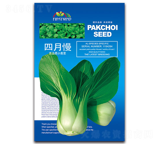 四月慢-青菜種子-先風(fēng)