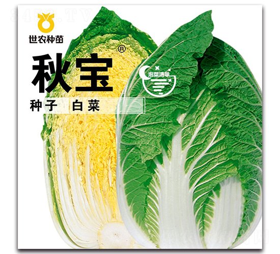 秋寶-白菜種子-世農(nóng)種苗
