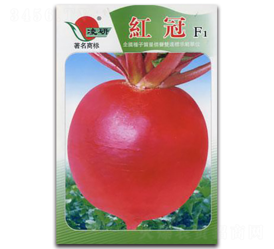 紅冠F1-蘿卜種子-仁大農(nóng)業(yè)