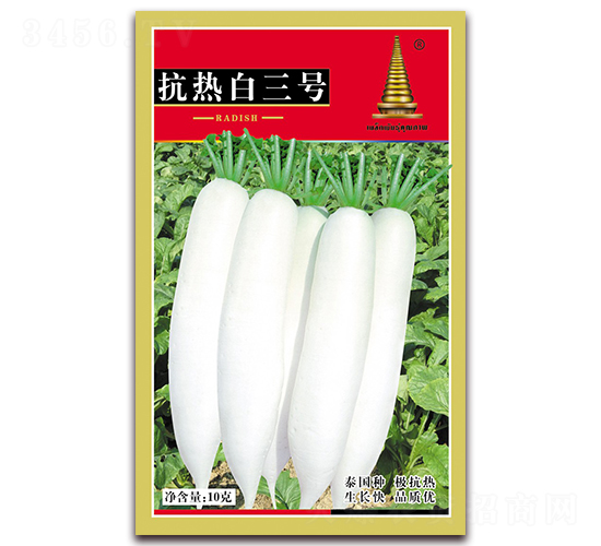 抗熱白三號(hào)-蘿卜種子-中江農(nóng)業(yè)