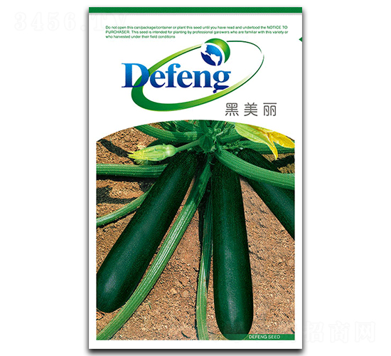 黑美麗-西葫蘆種子-德豐種業(yè)