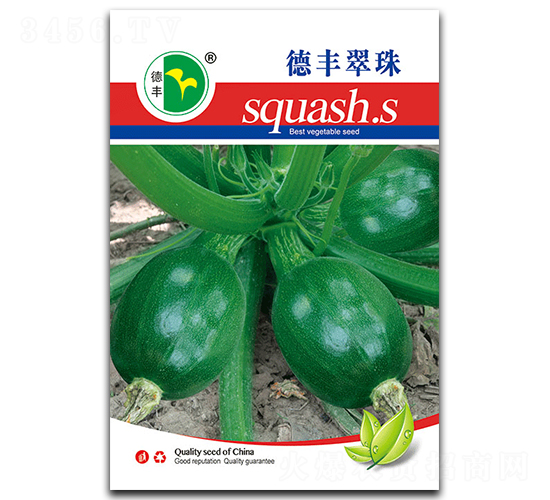 德豐翠珠-西葫蘆種子-德豐種業(yè)