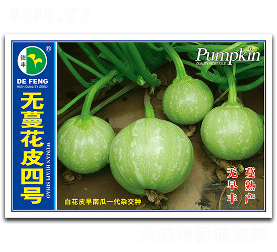 無蔓花皮四號-南瓜種子-德豐種業(yè)