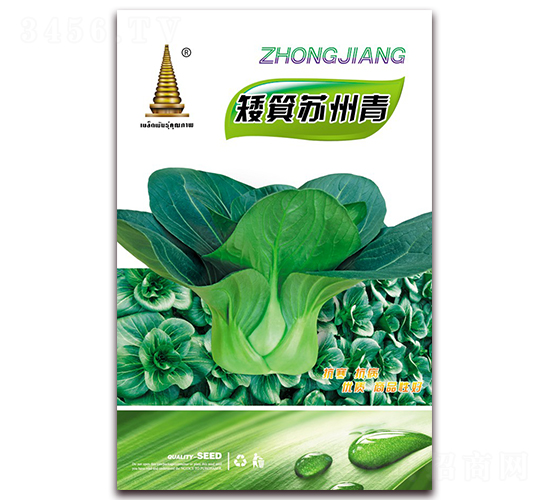矮箕蘇州青-青菜種子-中江農(nóng)業(yè)