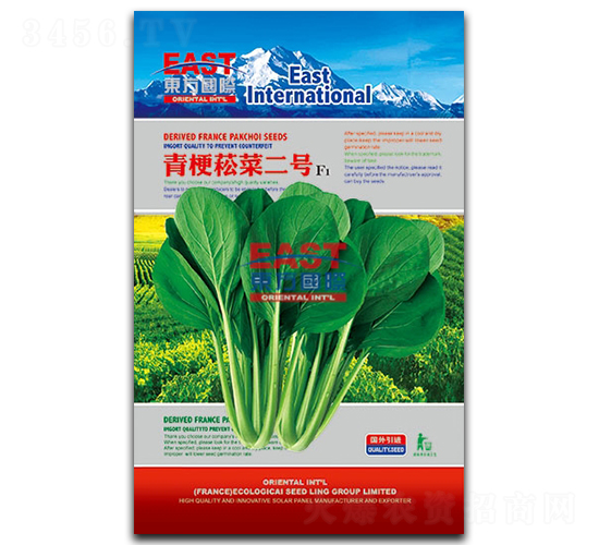 青梗菘菜二號-青梗菘菜種子-祥瑞達(dá)
