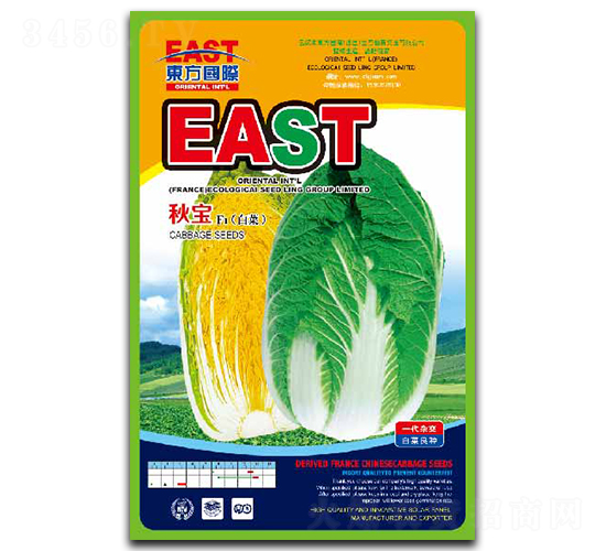 秋寶-白菜種子-祥瑞達