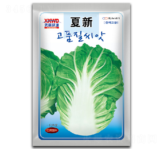 夏新-白菜種子-祥瑞達