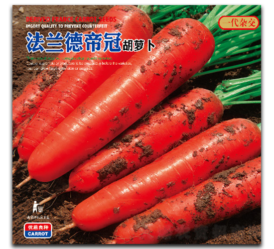 法蘭德帝冠-蘿卜種子-祥瑞達(dá)