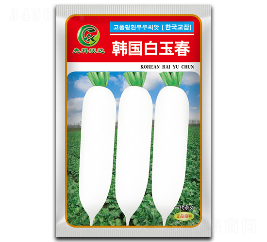 韓國白玉春-白蘿卜種子-祥瑞達(dá)