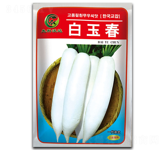 白玉春-白蘿卜種子-祥瑞達(dá)