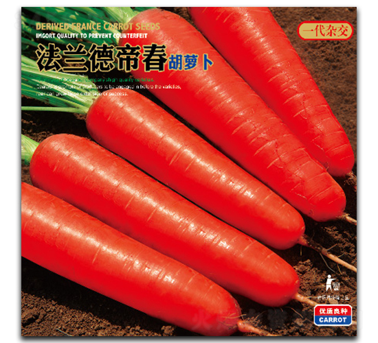 法蘭德帝春-胡蘿卜種子-祥瑞達