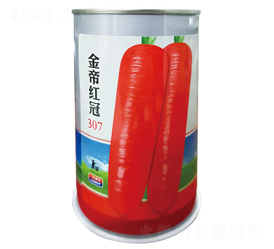 金帝紅冠307-胡蘿卜種子-祥瑞達