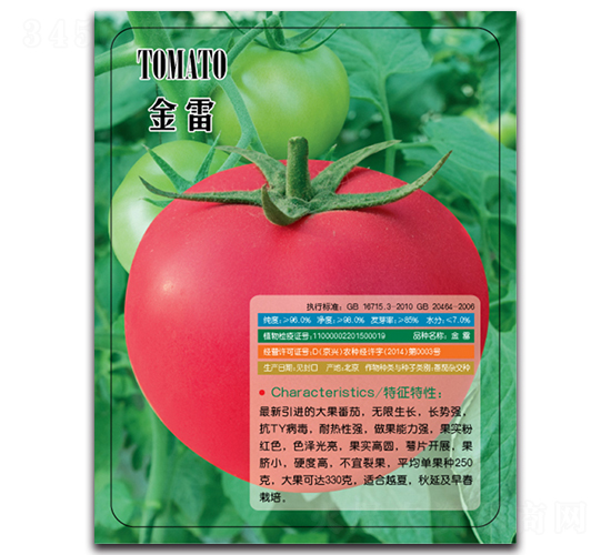 金雷-番茄種子-多美農(nóng)