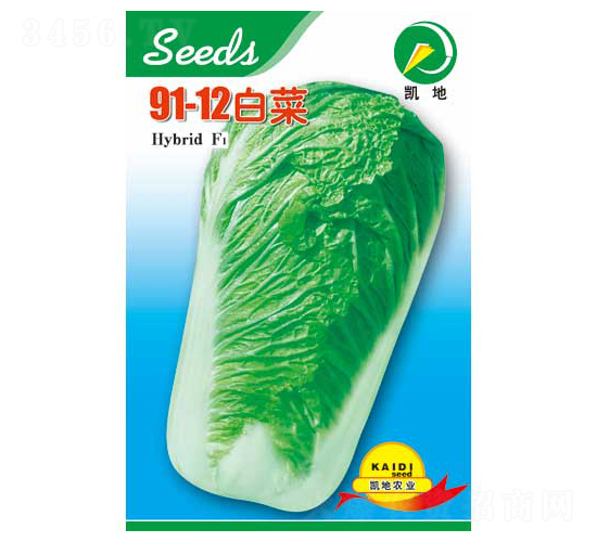 91-12-白菜種子-凱地農(nóng)業(yè)