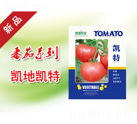 凱特-番茄種子-凱地農(nóng)業(yè)