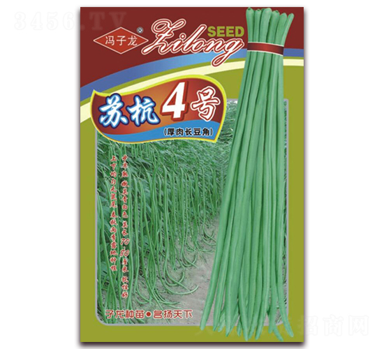 蘇杭4號厚肉長豆角-豆角種子-子龍種業(yè)