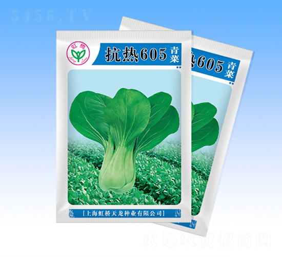 抗熱605-青梗菜種子-天龍種業(yè)