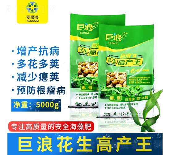花生高產(chǎn)王-巨浪-愛聚多