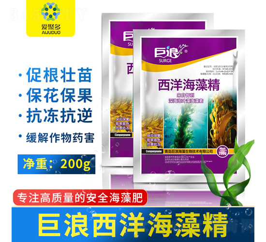 西洋海藻精（袋）-巨浪-愛(ài)聚多