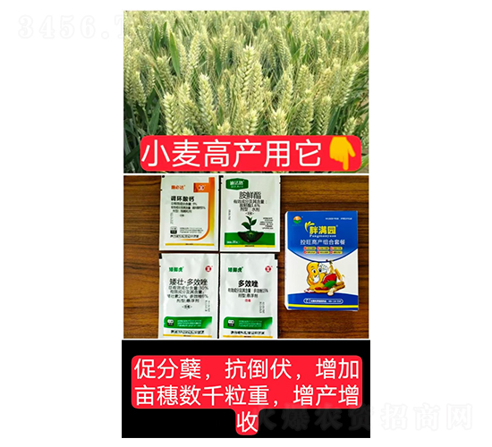 控旺高產(chǎn)組合套餐（小麥專用）-胖滿園-糧滿噸