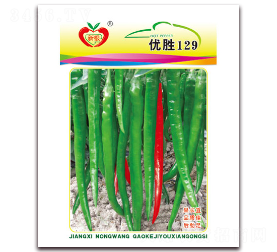 優(yōu)勝129-線(xiàn)椒種子-農(nóng)望