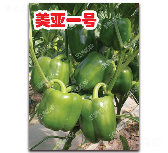 美亞一號(hào)-甜椒種子-南澳綠亨