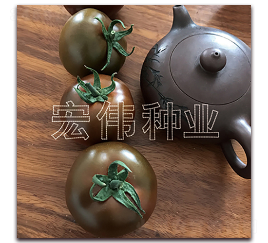 黑紫砂-櫻桃西紅柿種子-宏偉種業(yè)