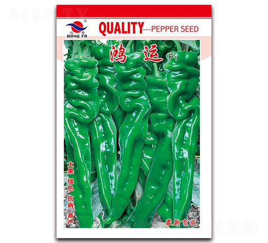 鴻運-辣椒種子-紅發(fā)種業(yè)
